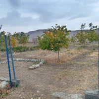 باغ۷۰۰متری