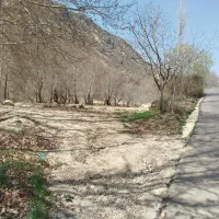 زمین کشاورزی و برنجکاری|فروش زمین و ملک کلنگی|پاتاوه, |دیوار