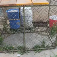 فروش قفس