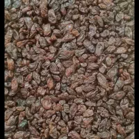 کشمش افتاب خشک ، جریانی|خوردنی و آشامیدنی|خرمشهر, |دیوار