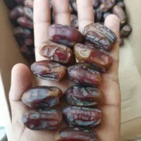 خرمای استعمران صادراتی درجه یک یک|عمده‌فروشی|شادگان, |دیوار