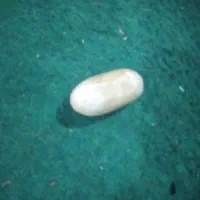 مهره|کلکسیون اشیاء عتیقه|میناب, |دیوار