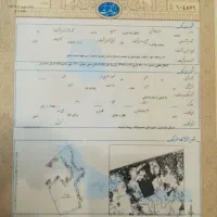 زمین-260-متری-بوستان-10
