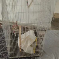 قفسه پرنده بزرگ