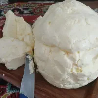 پنیرگاوی درجه یک تضمینی با تست فقط290|عمدهفروشی|مراغه, |دیوار