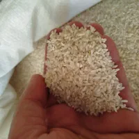 برنج نیم دانه ممان شارژ شد عمده خرده(کالابرگ)