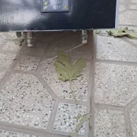 ابگرمکن برقی|آبگرمکن، پکیج، شوفاژ|اسلام‌شهر, شهرک قائمیه|دیوار