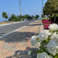 استخدام سرایدار و نگهبان و دفتر دار