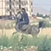 مادیان درجه یک|اسب و تجهیزات اسب‌سواری|کرمانشاه, |دیوار