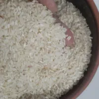 عنبربو کارزان|خوردنی و آشامیدنی|کارزان, |دیوار