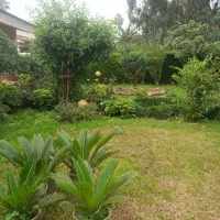 ویلا-شهرکی-ساحلی-سند-تک-برگ-ایزدشهر