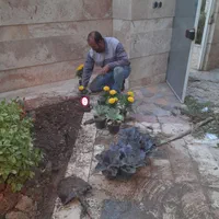 باغبانی سمپاشی هرس کاری تیلرزدن تعویض خاک گلدان|خدمات باغبانی و درختکاری|مشهد, هفت تیر (آب و برق)|دیوار