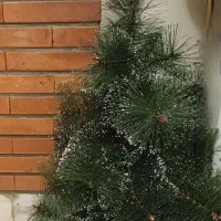 درخت کریسمس