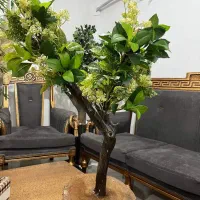 درختچه های جذاب و زیبا با تنه طبیعی