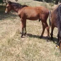 قیمت هم ۱۰۰۰