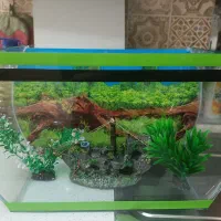 آکواریوم با شیشه های فوق العاده ضخیم...