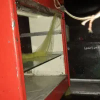 ۲۰تومن
