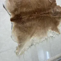 پوست فروشی|صنایع دستی و سایر لوازم تزئینی|تهران, اتابک|دیوار