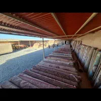 کارگاه قالیشویی ومبلشویی پارسیان فولادشهر52625263|خدمات نظافت|فولادشهر, C7|دیوار