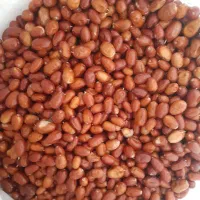 خوشک بار|خوردنی و آشامیدنی|صوفیان, |دیوار