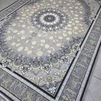 انبارفرش شوش دانیال|فرش|شوش, |دیوار