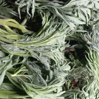 سبزی کوهی کمای تازه