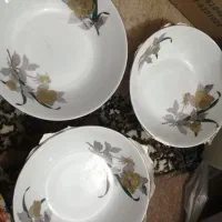 ظروف چینی