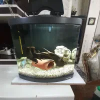 اکواریوم TL440 ماهیران