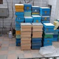 فروش تعدادی کندو، طبق و قاب پوکه دست دوم