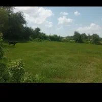 زمین باغی مسکونی اطراف سنگر(دارای سندوپروانه ساخت)