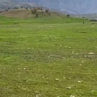 کاروان بابای بزرگ