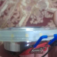 هالوژن|لامپ و چراغ|شیراز, محراب|دیوار