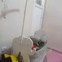 گهواره نوزاد نو|تخت و سرویس خواب|ایلام, |دیوار