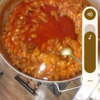اشپزمجالس