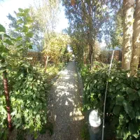 باغچه روستایی جهت دورهمی|اجارهٔ کوتاهمدت ویلا و باغ|مشهد, عبادی|دیوار