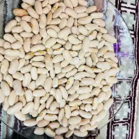 لوبیا کرم کپسولی درجه یک