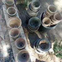 فروش تعدادی گلدان سفالی|گل و گیاه طبیعی|بیرجند, |دیوار