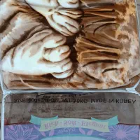 پتو سولارون