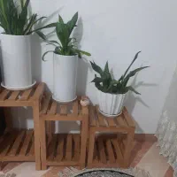 پایه گل سه عددی چوب راش