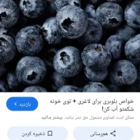 ترش واش بلوبری|عمده‌فروشی|اطاقور, |دیوار