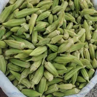 بامیه (طلای سبز)|خوردنی و آشامیدنی|حمیدیه, |دیوار