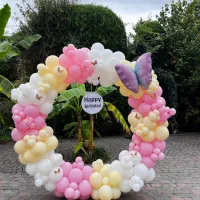 بادکنک آرایی و تم تولد|خدمات پذیرایی، مراسم|رشت, فلسطین|دیوار