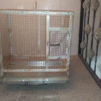 قفس|لوازم جانبی حیوانات|برخوار, |دیوار