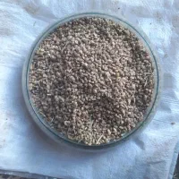 تخم یونجه و گندم