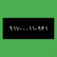 ۹۱۷-۰۰۱۱-۹۴۱