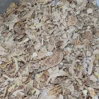 نان خشک دامی تمیز بدون کپک و اشغال