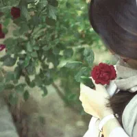 داوطلبانه