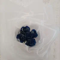 سفارشات پذیرفته میشود