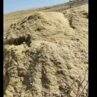 فروش کاه