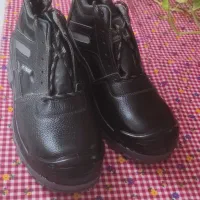 کفش ایمنی سر پنجه فولادی|کیف، کفش، کمربند|رشت, گلسار|دیوار